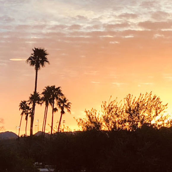 Meet your Posher, Anna - Picture 1 of 1